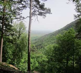 Auf dem Weg zum Hilschweiher