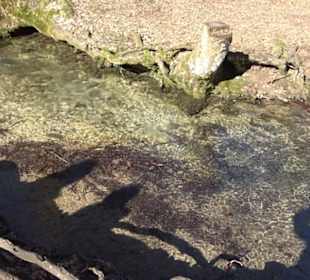 Wandertour Eppenzill
