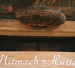 Wandern Obertilliach