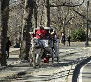 Die Kutschen dürfen natürlich nicht fehlen