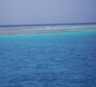 Ausflug Meer & Sterne von ETI bzw CET