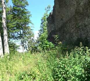 Burg Hölnstein Stetten u. Holstein