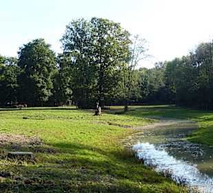 Weitläufige Parkanlage