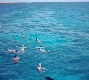 Schnorcheln vor der Giftun Insel.