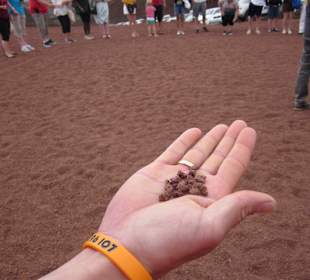 Lavagestein zum Anfassen