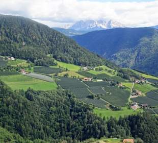 Blick aus der Seilbahn auf die Hänge des Ritten