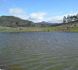 Der Rest vom Stausee