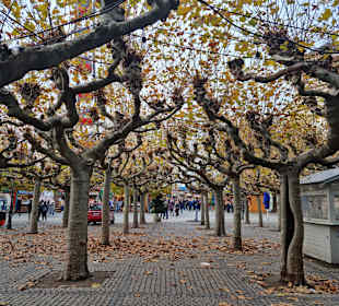 Stadtrundgang Düsseldorf