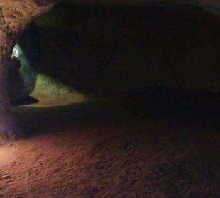 Schlossberghöhlen in Homburg