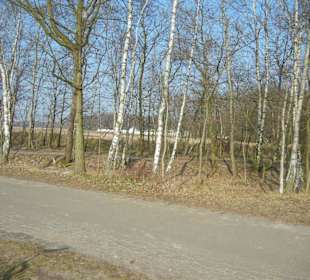 Wunderschöne Boberger Niederung