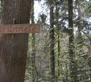 Grafenberger Brünnele