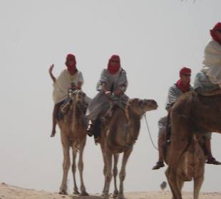 Wycieczka na wielbłądach