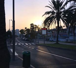 Wandern Teneriffa Kreaktiv Costa Adeje