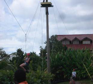 2. Zip Line