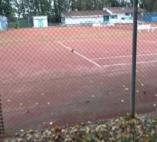 Tennisplätze Kressbronn