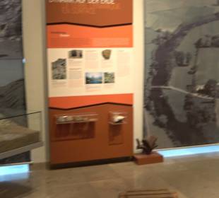 Staatliches Naturkunde Museum