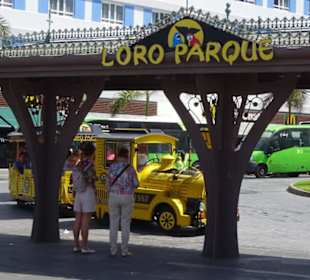Plaza Reyes Catolicos