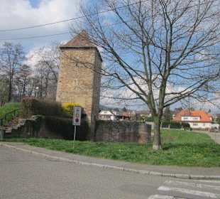 Stadtmauerweg