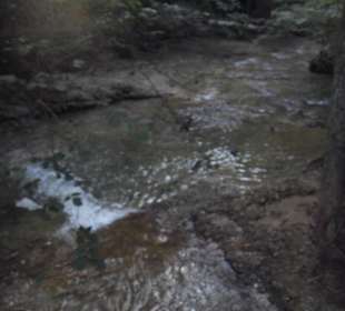 Scheidegger Wasserfälle