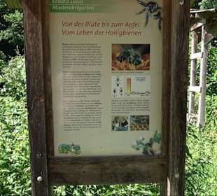 Eduard Lucas Musterobstgarten Mähringen