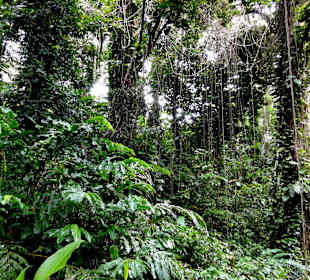 Impressionen aus den Jardins de Valombreuse