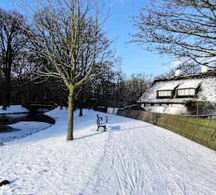Winterspaziergang durch den Bürgerpark