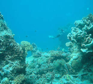 Tagestour mit Poseidon-Cruises