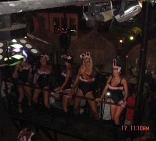 Bunny´s im Havana Club Alanya