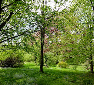 Spaziergang durch den Forstbotanischen Garten