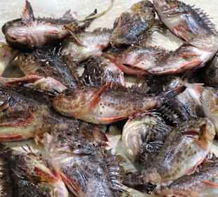 Rundgang durch den Mercato Civico di San Benedetto