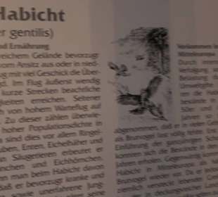 Museum Rosenburg