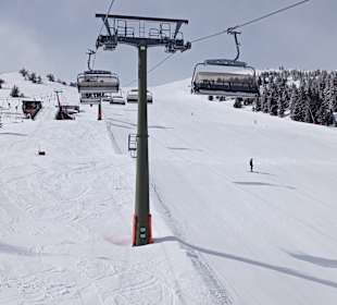 Skifahren