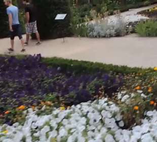 Real Jardín Botánico de Madrid