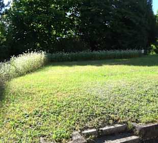 St. Cyriacus- & Pancratius-Kirche