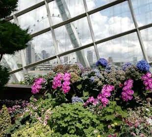 Gardens by the Bay