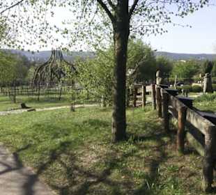 Gartenschau