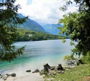 Jezero Bohinj