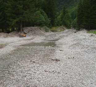 Ein Bächlein von den Bergen zum See