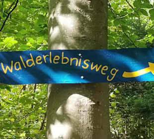 Walderlebnisweg Rottenburg