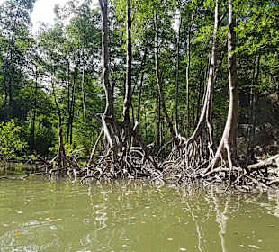Los Haitises Nationalpark
