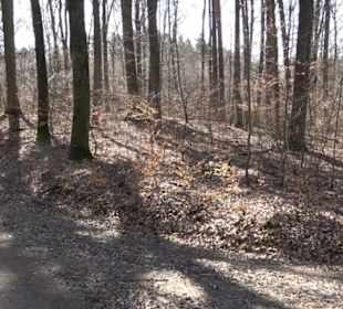 Geschichtlicher Lehrpfad Einsiedel