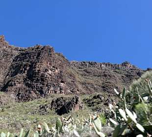 Teneriffa / Masca Schlucht