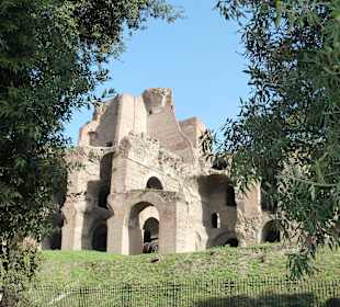 Цирко Массимо