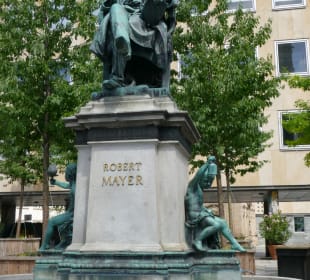 Denkmal Dr. Robert Mayer