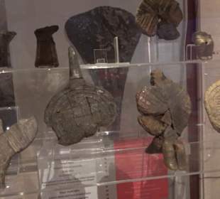 National Museum Of Archaeology