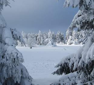 Winter 2015 Ettelsberg