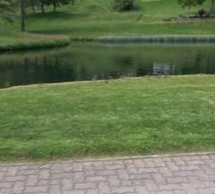 Wanderung Klosterquelle Klosterreichenbach