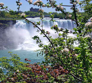 US-amerikanische Fälle