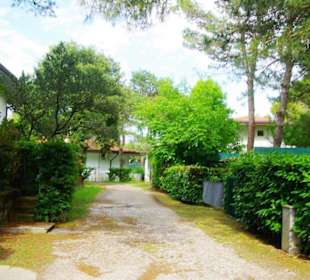 Villa Erika und was dazu gehört