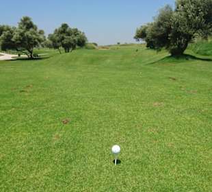 Gepflegte Fairways